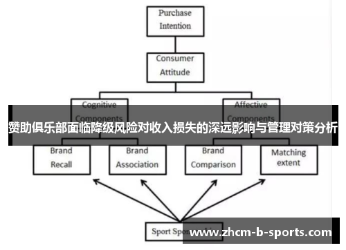 赞助俱乐部面临降级风险对收入损失的深远影响与管理对策分析